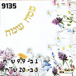 ���� ����� ��� ��� ���