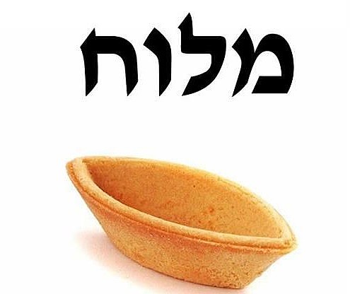 ���� ���� ����
