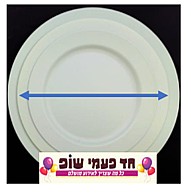 צלחת אורבניק מנטה 10 יח' , גודל 9 צלחת אורבניק מנטה 10 יח' , גודל 9