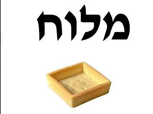 ���� ����� ���� ����