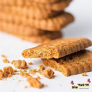 שבבי לוטוס שבבי לוטוס