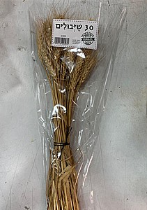 אלומות שיבולים 30 י"ח אלומות שיבולים 30 י"ח