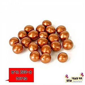 ���� ������ ����