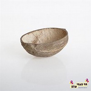 ���� ��� ����� ����