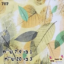 ���� ��� ����