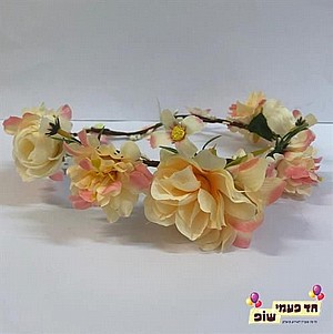 �� ���� ���