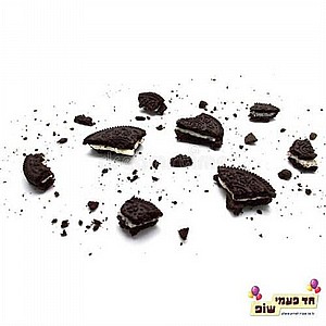 ���� �����