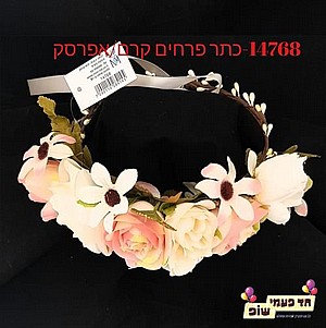 �� ���� �����