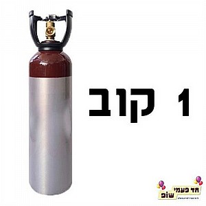 ���� ����� 1 ���