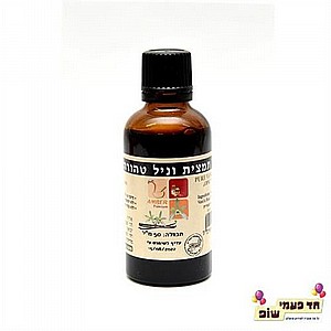 ����� ���� �����