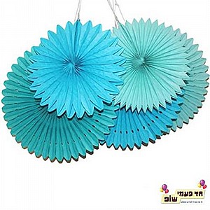 ������ ���� ���� ( 5 ������ )