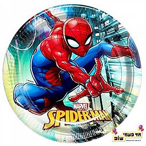 ���� �������� �����