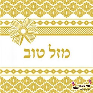 ���� ��� ��� ��� �����