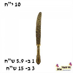 ���� �����' ��� ����